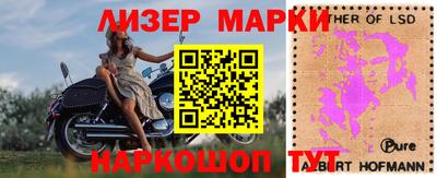 герыч Кингисепп